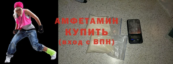 шишки Бородино