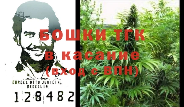 шишки Бородино