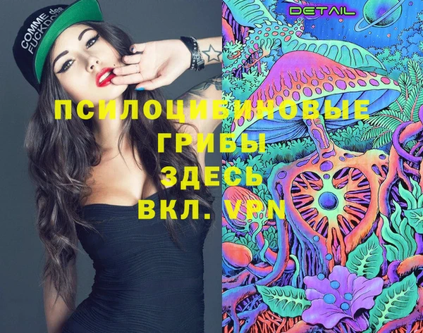 шишки Бородино
