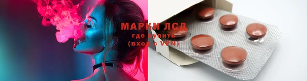 шишки Бородино