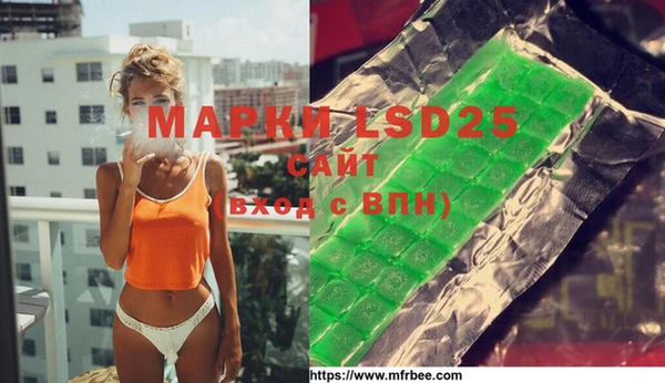 шишки Бородино