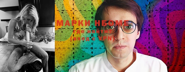шишки Бородино