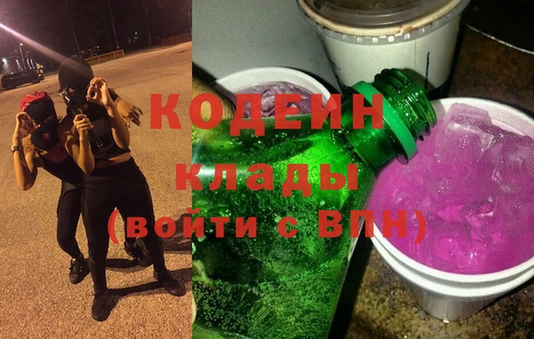 шишки Бородино