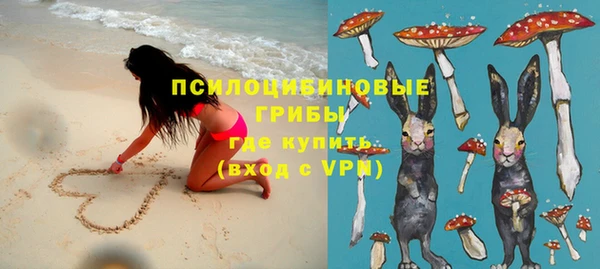 шишки Бородино