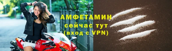 шишки Бородино