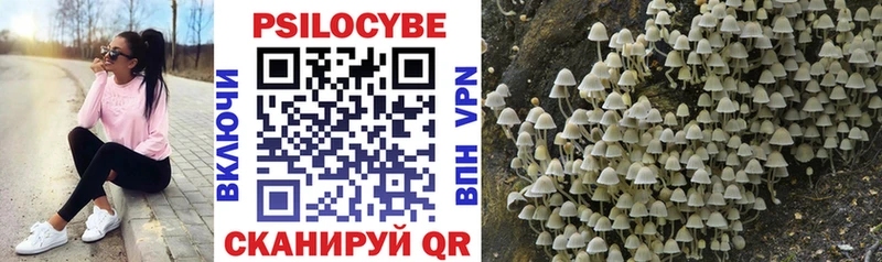 Галлюциногенные грибы Cubensis  Дальнегорск 