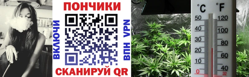 купить закладку Дальнегорск MEGA ССЫЛКА Бошки марихуана семена